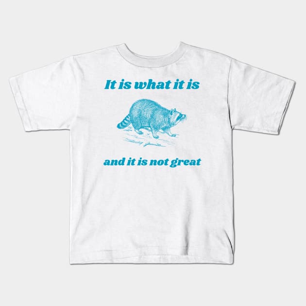 It Is What It Is And It Is Not Great Funny Raccoon Kids T-Shirt by KC Crafts & Creations